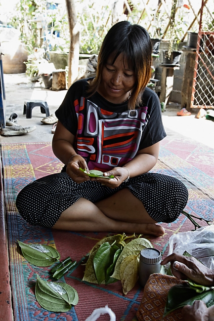 Famille et amis NOV11-005